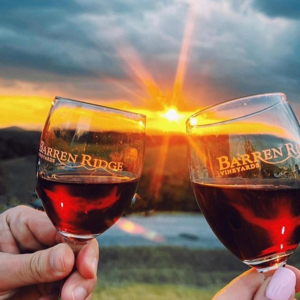 Barren Ridge Vineyards - Wines