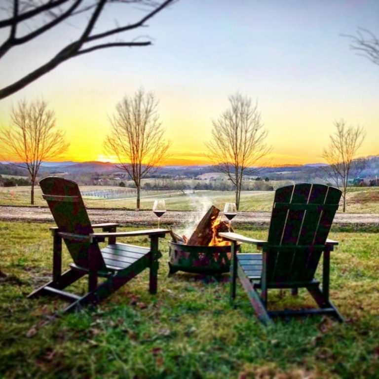 An image of the scenery around Ecco Adesso Vineyards.