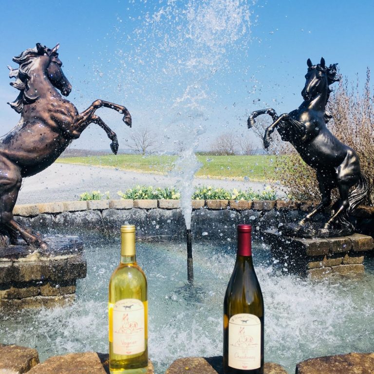 An image of the fountain at The Winery at Kindred Pointe