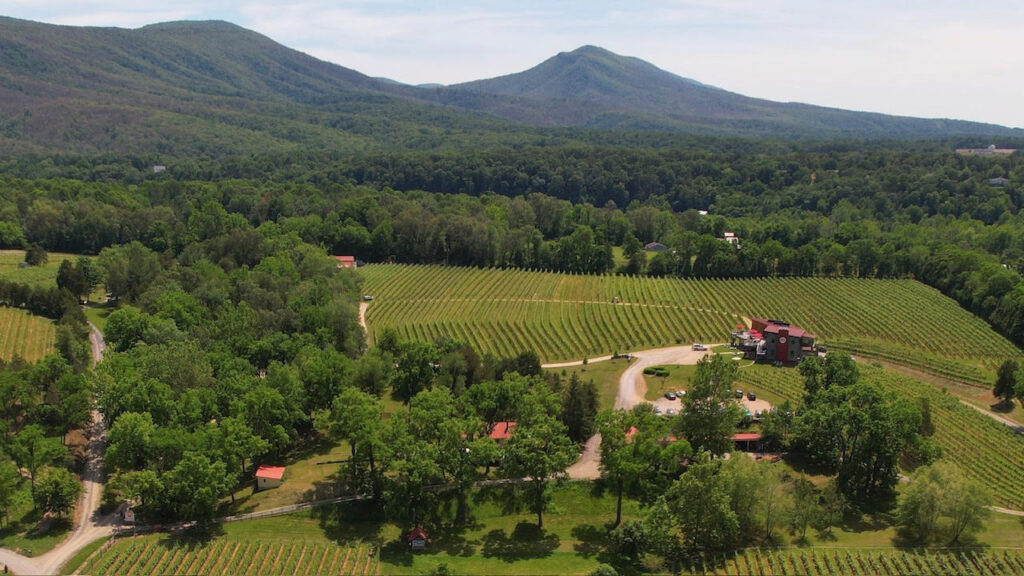 A view of the land at Muse Vineyards.